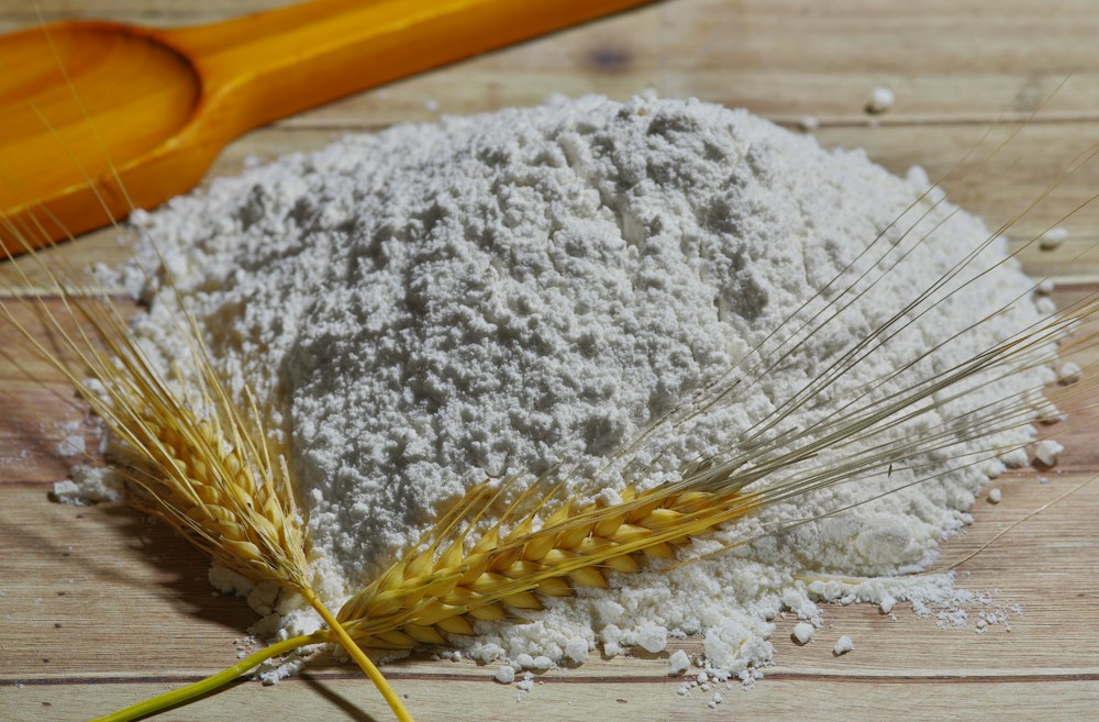 Wheat starch powder beside an ear of wheat