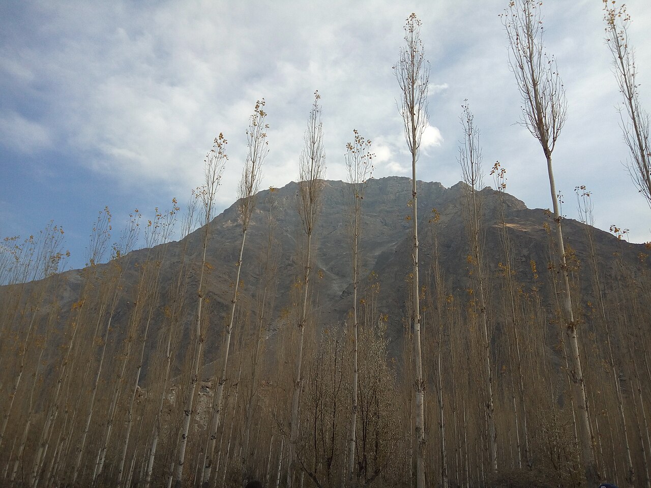 Autumn colours in a valley near Skardu